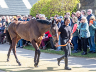 NH220326-22 - Thewoodcorner